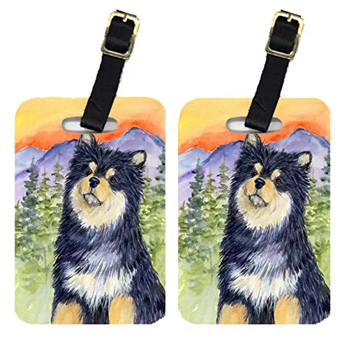 Caroline's Treasures SS1057BT Pair of 2 Finnish Lapphund Luggage Tags, Large, multicolor